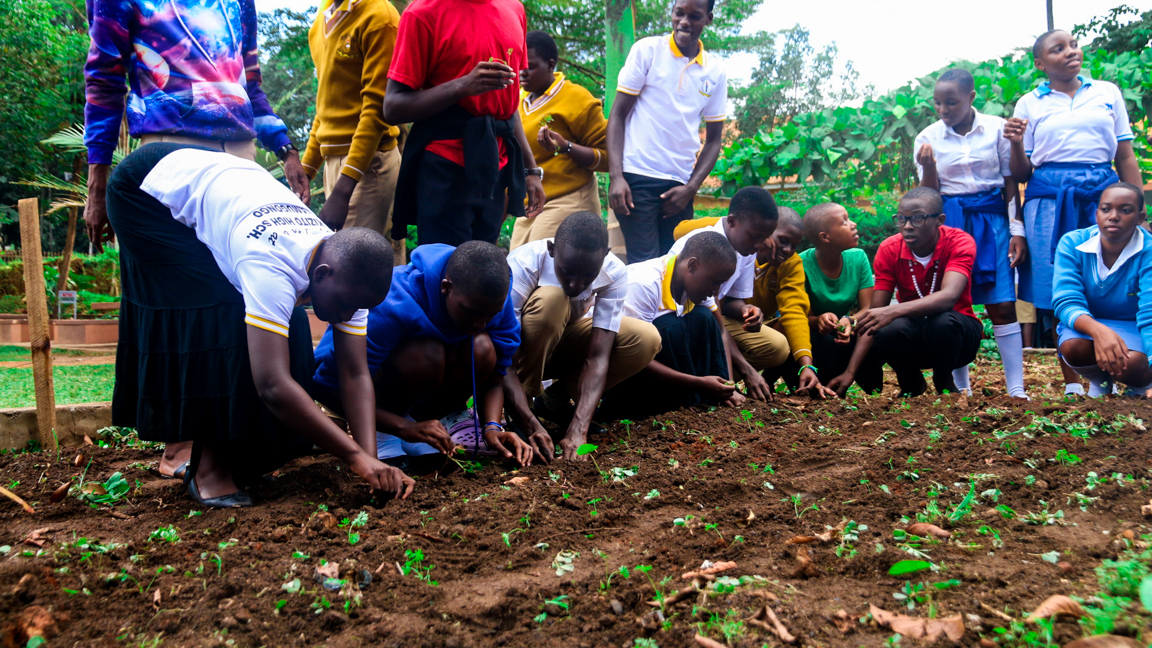 Smart agriculture at St Kizito High School