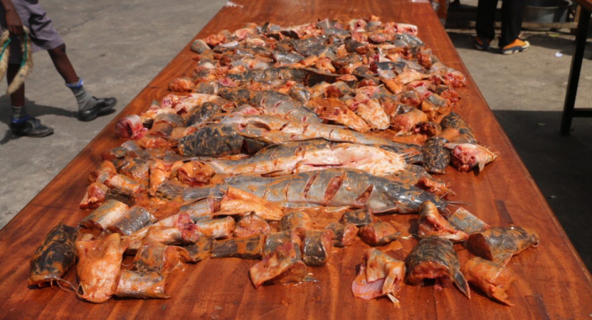 fish farming at St Kizito High School